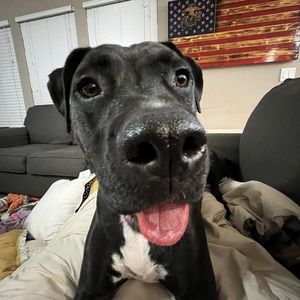 Meet your Posher, Haleigh